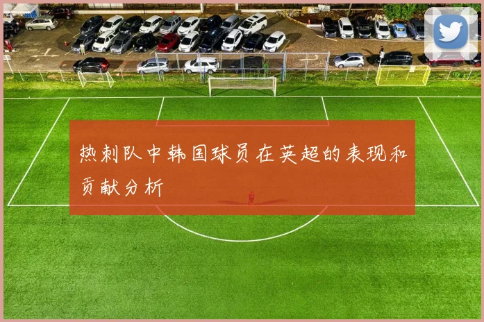 热刺队中韩国球员在英超的表现和贡献分析