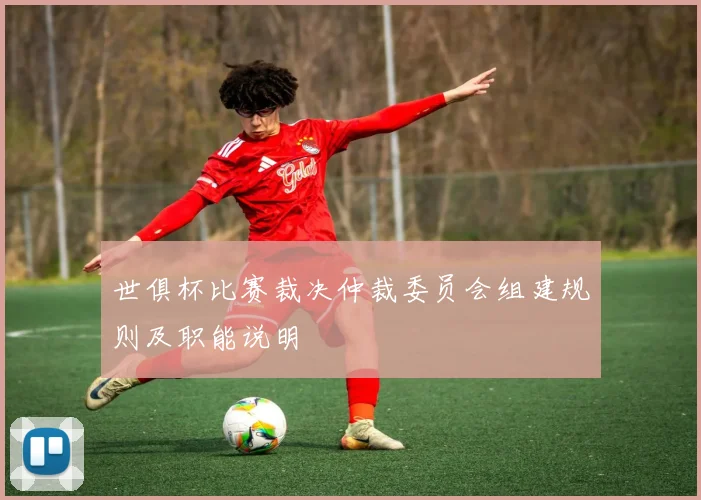 世俱杯比赛裁决仲裁委员会组建规则及职能说明