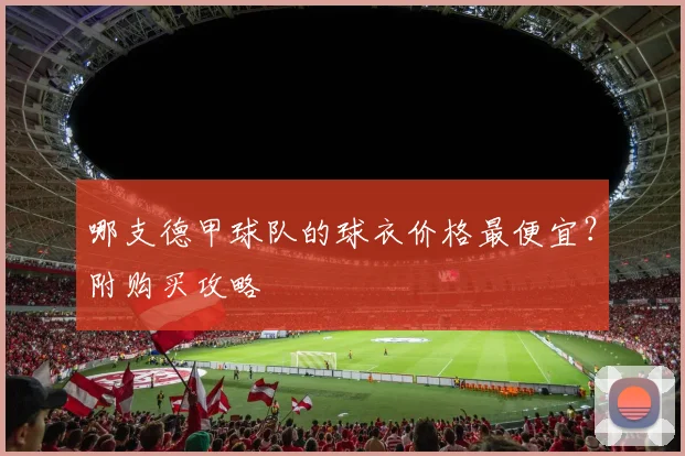 哪支德甲球队的球衣价格最便宜？附购买攻略